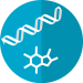 Metabolomics Metabolome Metabolic OmicsF